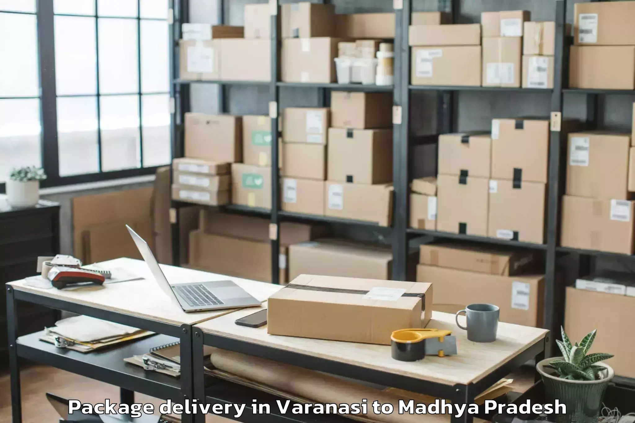 Reliable Varanasi to Bankhedi Package Delivery